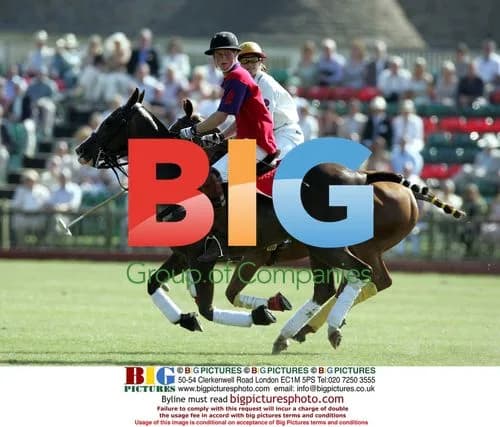 Prince Charles and Prince Harry Play Polo