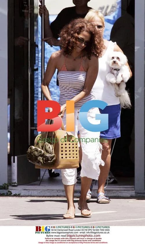 Halle Berry takes dogs to vet in Malibu