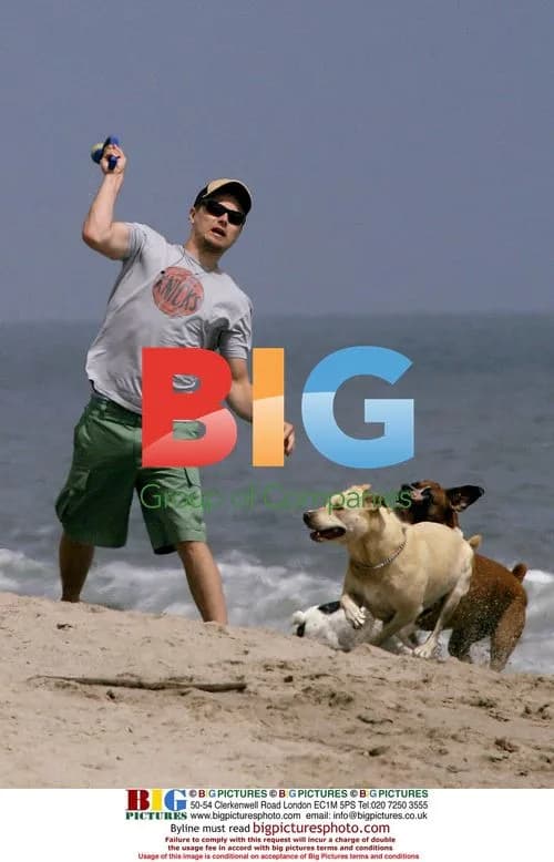 Leonardo DiCaprio walking dogs on Malibu beach