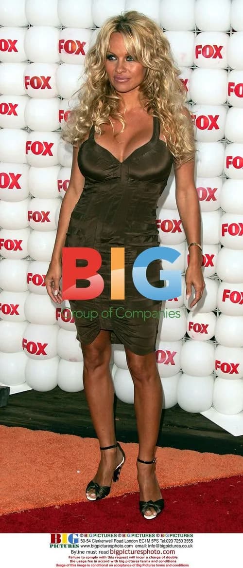 Pamela Anderson at Fox TCA party
