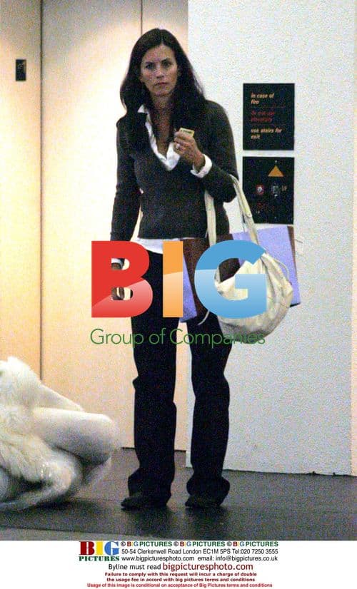 David Arquette Waits for Courtney Cox