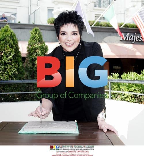 Lisa Minnelli at Cannes Concert Photocall