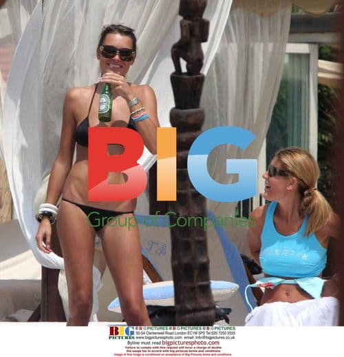 Flavio Briatore and Alena Seredova's beach date