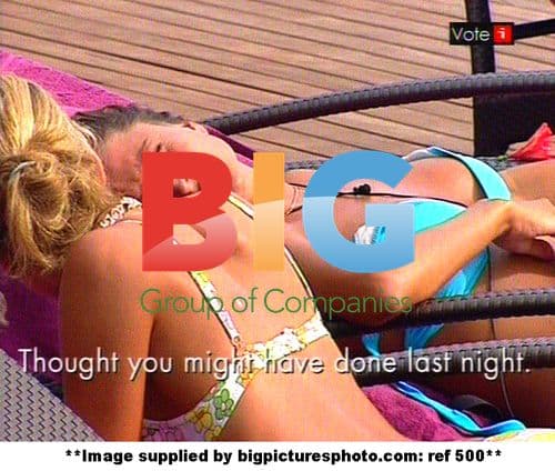 Celebrities on Love Island