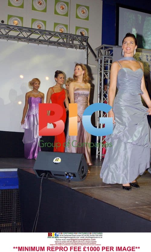 Sandra Krijgsman, Dutch Miss Universe 2004