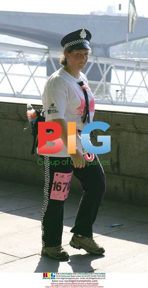 2005 "Moonwalk" for Breast Cancer Research