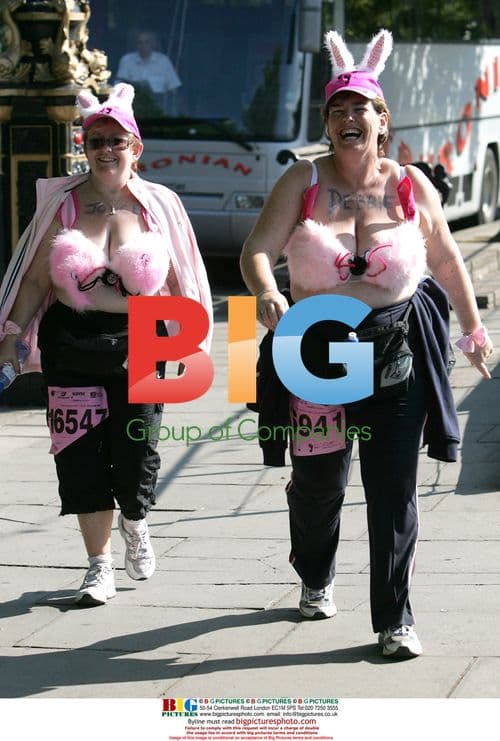 2005 Moonwalk for Breast Cancer Research
