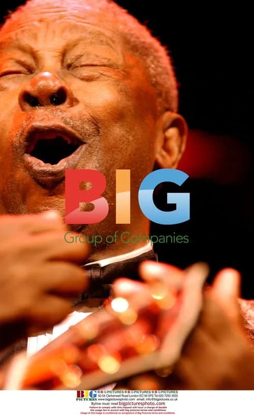 BB King Farewell Concert in Rotterdam