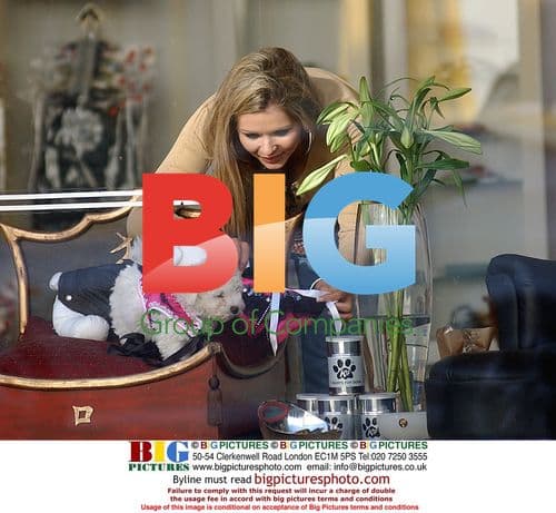 Nicola McClean out with her dog in London