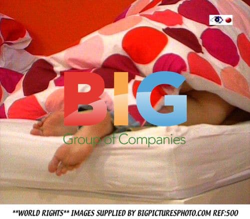 Big Brother 6 Day 33 Photo