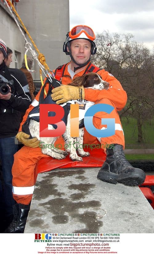 Crufts dog show celebration