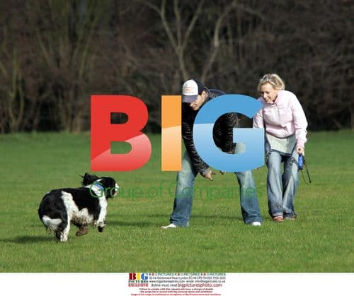 Casualty Actress Leanne Wilson Walks Dog with Fiance