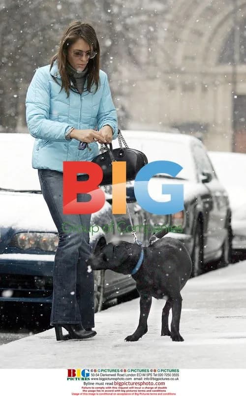 Liz Hurley Walking Dog in London