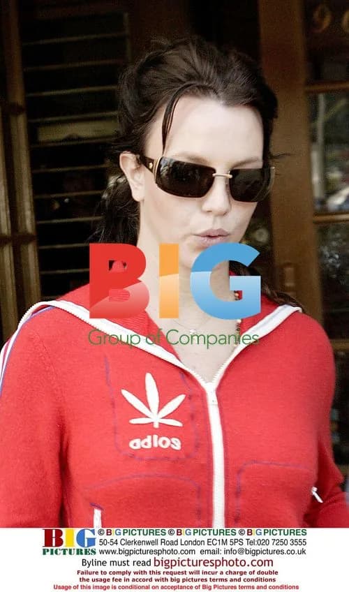 Britney Spears Spotted in Ripped Tracksuit in LA