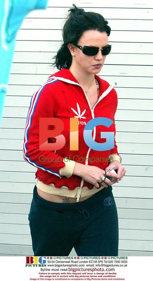Britney Spears in Marijuana Sweater