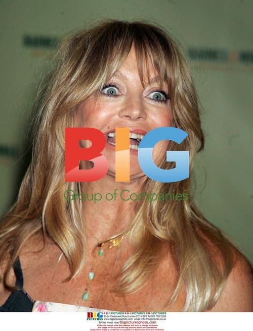 Goldie Hawn Promotes Book at Barnes & Noble