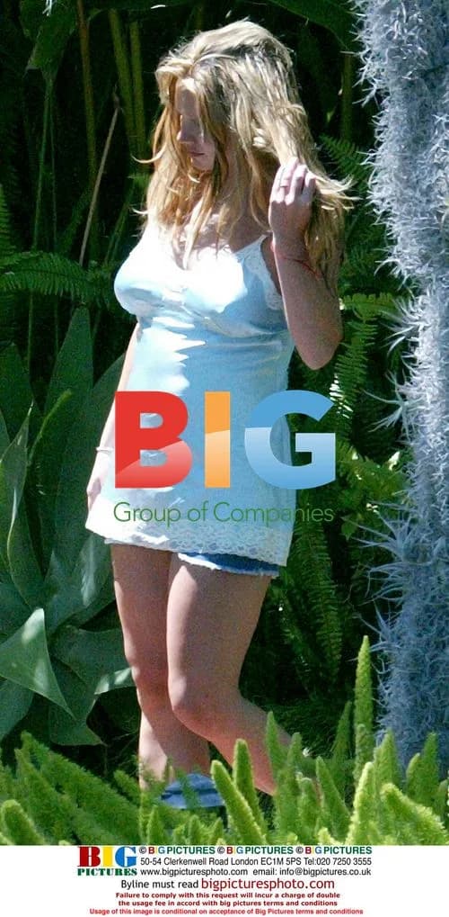 Pregnant Britney Spears with Family
