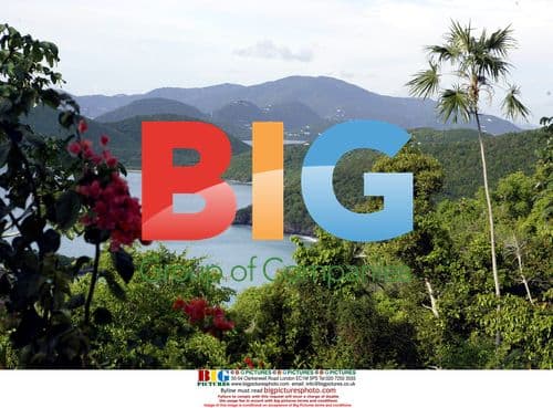 Renee Zellweger and Kenny Chesney's Wedding