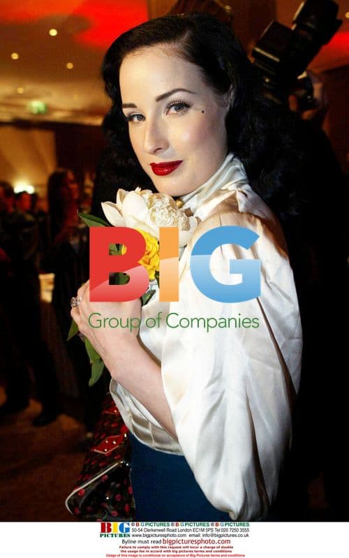 Dita von Teese at Life Ball 2005 pre-party