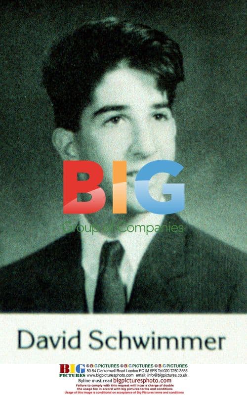 David Schwimmer High School Photo