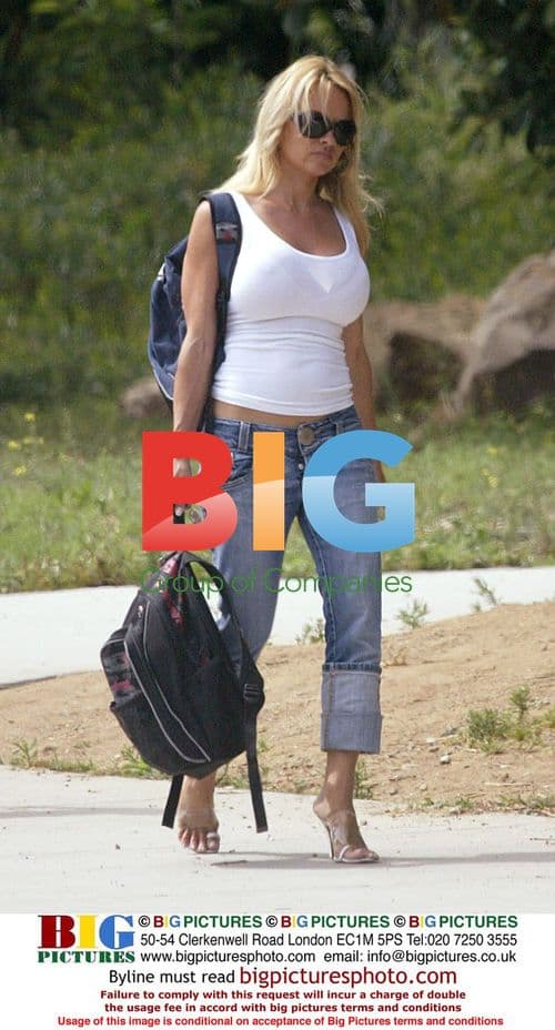 Pamela Anderson picks up sons from school