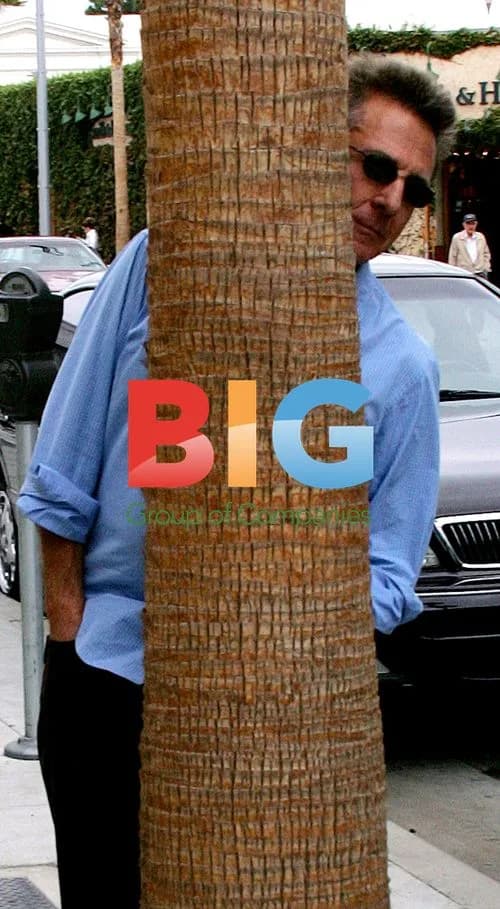 Dustin Hoffman Plays Hide-and-Seek