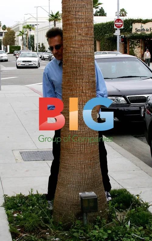 Dustin Hoffman Plays Hide-and-Seek with Paparazzi