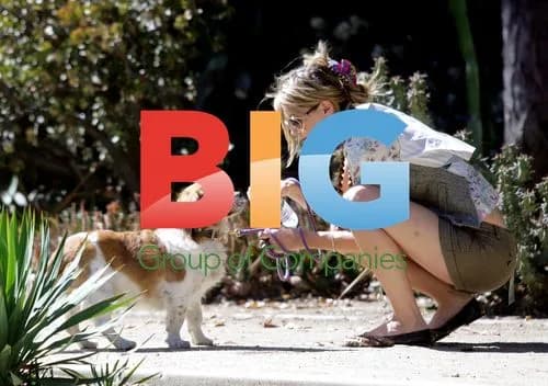 Mischa Barton out with dog in Malibu
