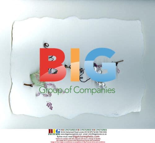 Christina Aguilera's Secret Wedding Invite