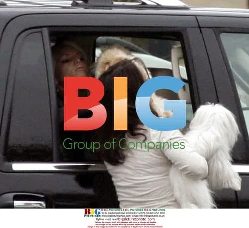 Jessica Simpson Kisses Dog in Waco, TX