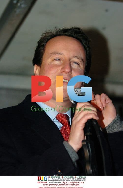 David Cameron at Witney Christmas Lights