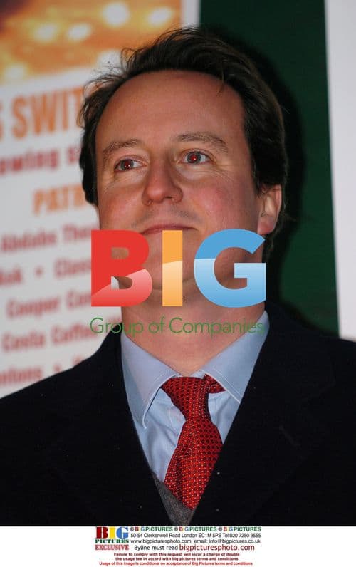 David Cameron with Dumbledore