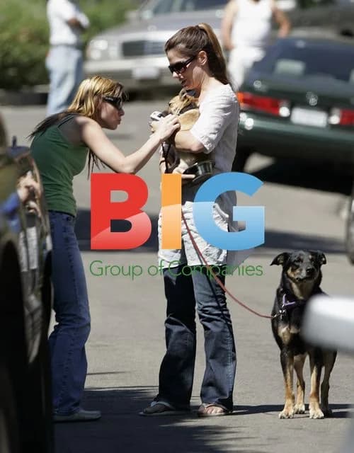 Sandra Bullock Reunited with Chihuahua