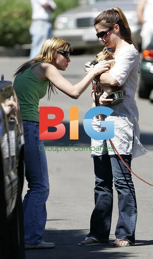 Sandra Bullock Reunites with Lost Chihuahua