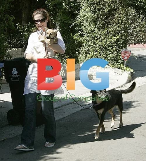 Sandra Bullock Reunited With Lost Dog