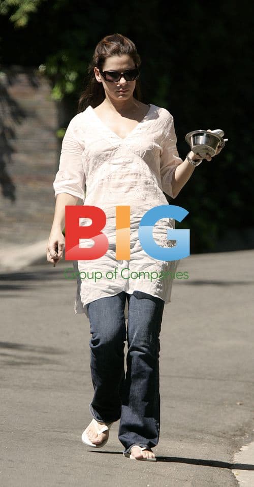 Sandra Bullock Finds Lost Chihuahua