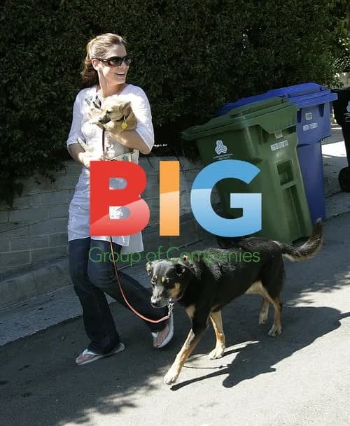 Sandra Bullock Reunited with Missing Chihuahua