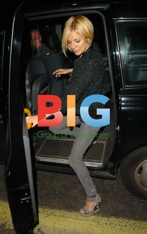 Sienna Miller Arrives Home