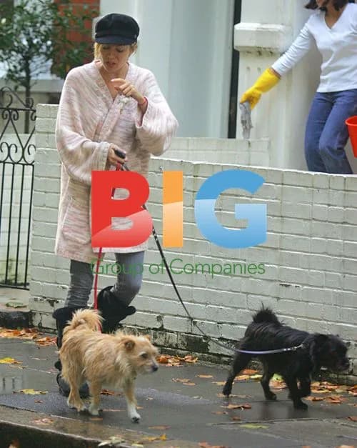 Sienna Miller walks dogs in London park