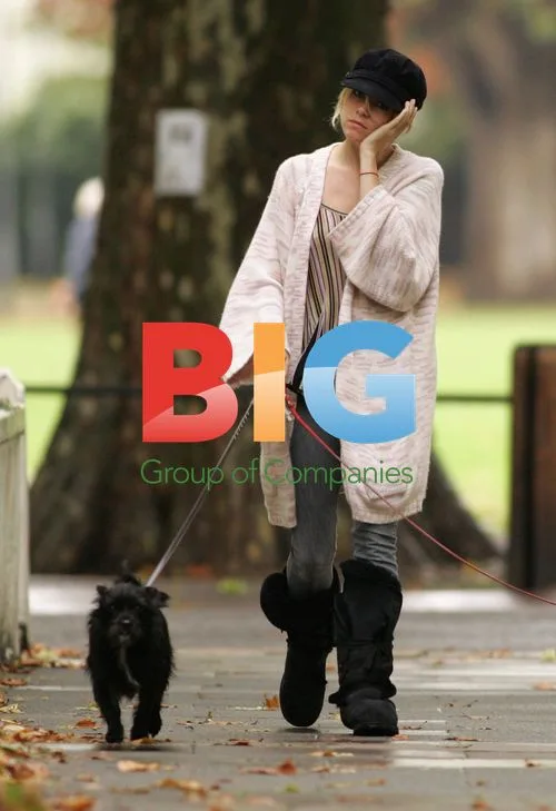 Sienna Miller Walks Dogs in London Park