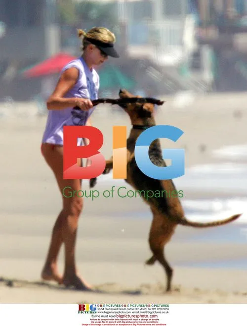 Charlize Theron relaxes on beach with dogs