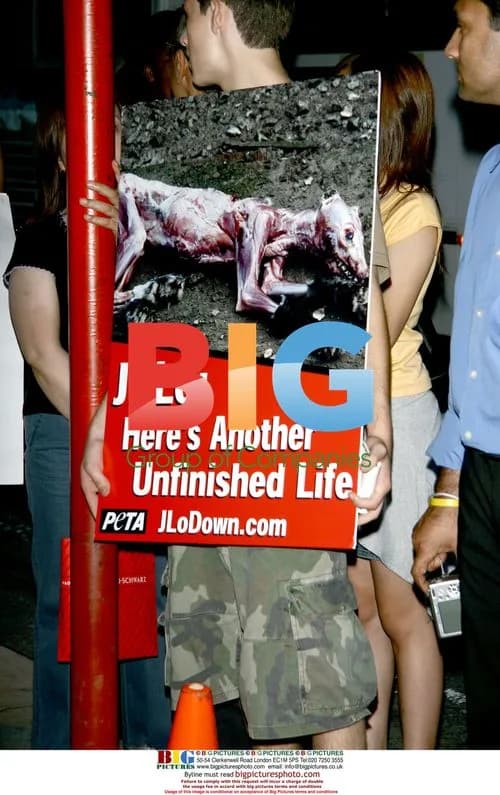 PETA Protesters at 'An Unfinished Life' Premiere