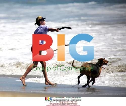 Charlize Theron with Dogs on Beach