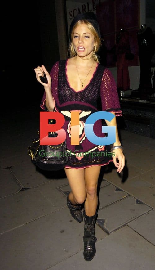 Sienna Miller and Daniel Craig Partying