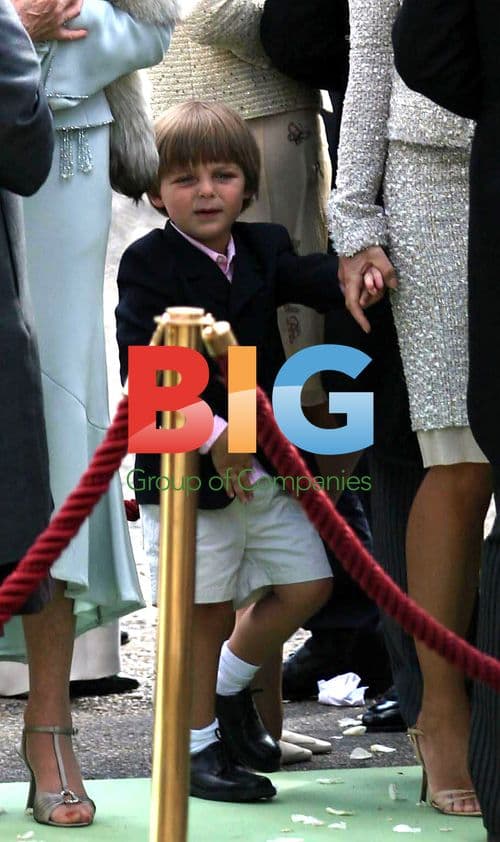 Liz Hurley at Arnault Wedding