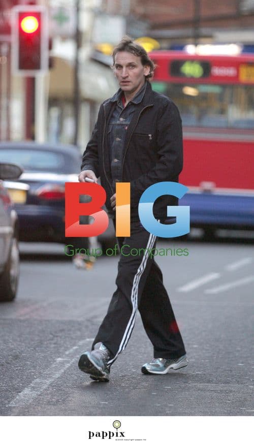 Ariana Grande Performs at Lollapalooza