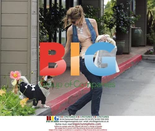 Mischa Barton Buying Puppy Clothes