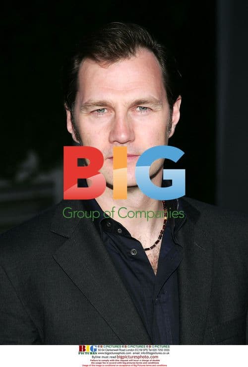 DAVID MORRISSEY at 'American Dreamz' premiere