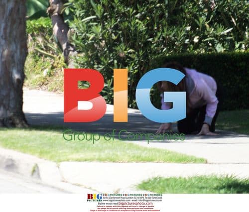 Kate Beckinsale Finds Missing Cat