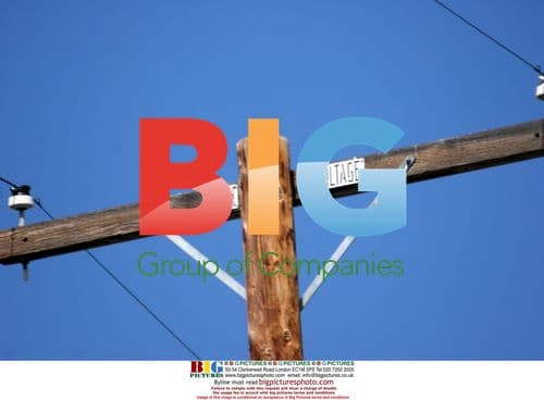 Kate Beckinsale's Scare to Find Lost Cat